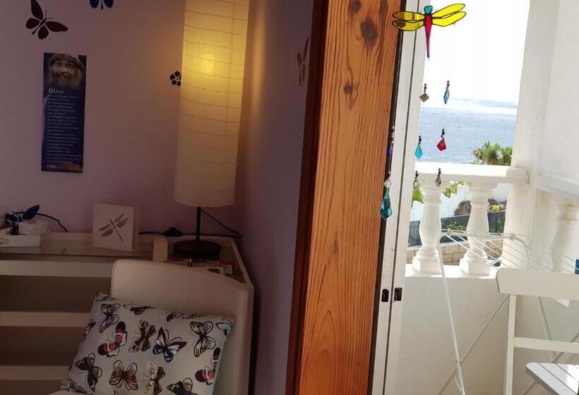 اتاق استاندارد, The Magic Dragonfly!