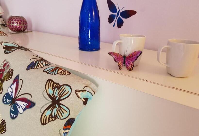 اتاق استاندارد, The Magic Dragonfly!