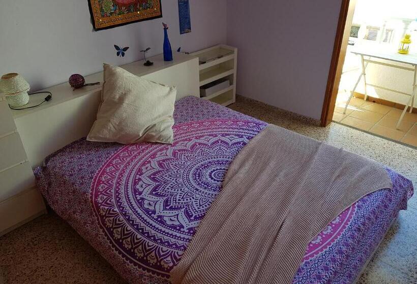 اتاق استاندارد, The Magic Dragonfly!