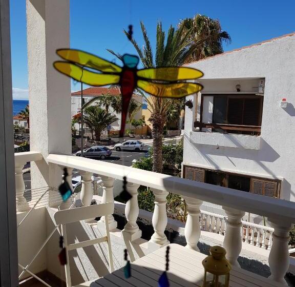 اتاق استاندارد, The Magic Dragonfly!