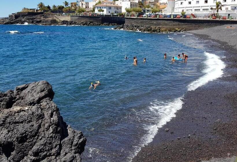 اتاق استاندارد, The Magic Dragonfly!