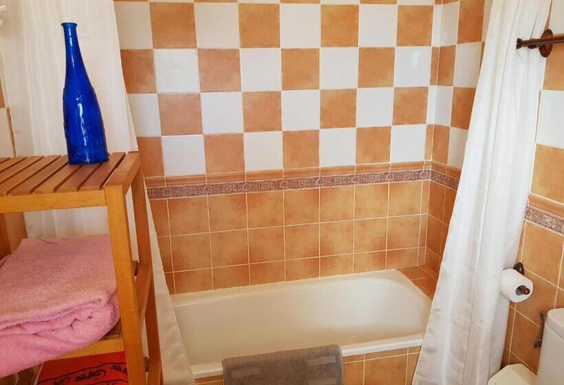 اتاق استاندارد, The Magic Dragonfly!