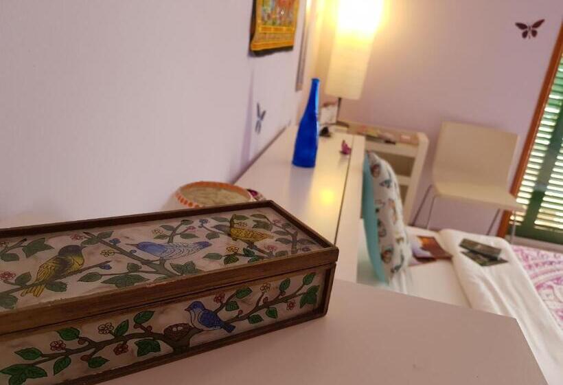 اتاق استاندارد, The Magic Dragonfly!