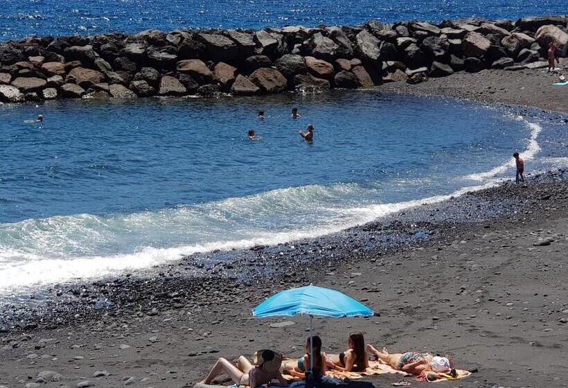 اتاق استاندارد, The Magic Dragonfly!