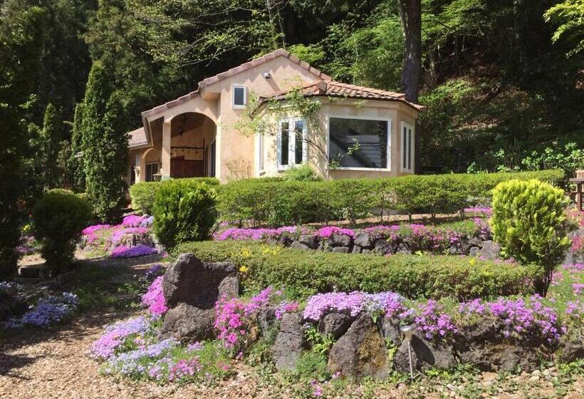 חדר דלוקס לארבעה, Private Hotel Rei