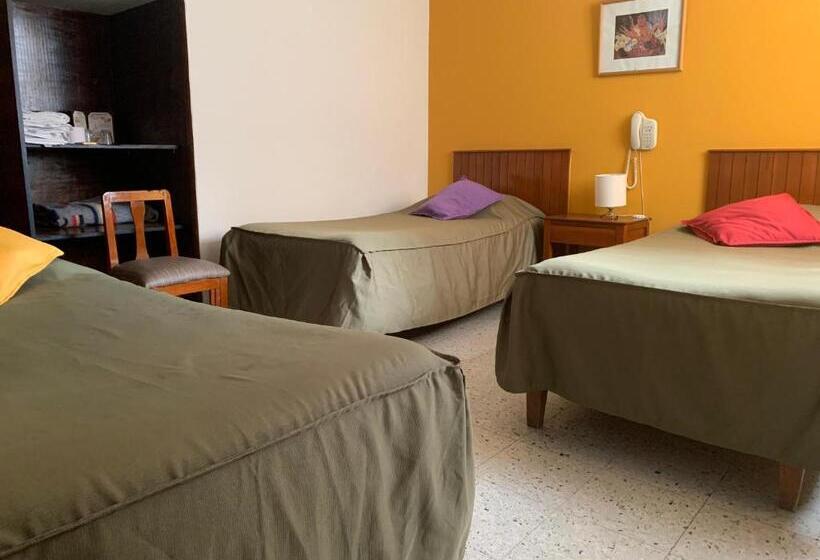 스탠다드 트리플 룸, Acuario