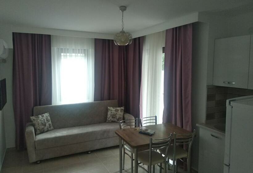 带1个卧室的基准公寓, Ozgem Apart Otel