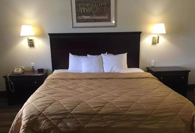 キングサイズベッドのスタンダードルーム, Budget Inn Farmington