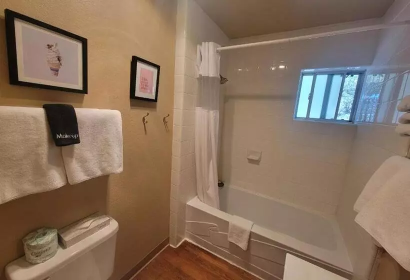 اتاق استاندارد, Cinnamon Bear Inn
