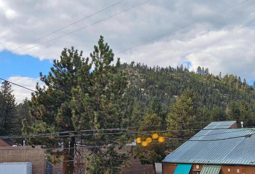 高级套房, Cinnamon Bear Inn