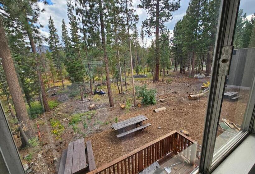 高级套房, Cinnamon Bear Inn