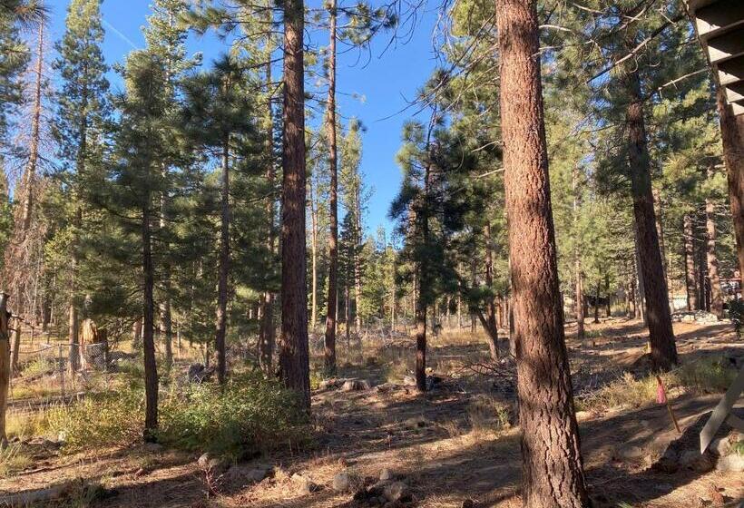 套房, Cinnamon Bear Inn