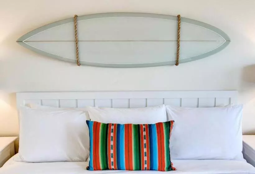اتاق استاندارد با تخت بزرگ برای معلولان, Laguna Beach House