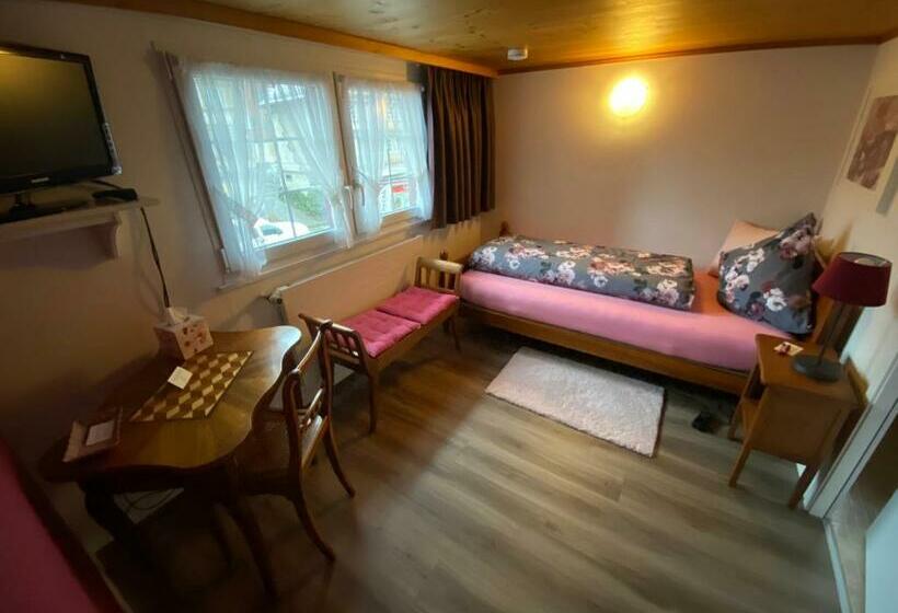 Номер Стандарт Индивидуальный, Gasthaus Sternen