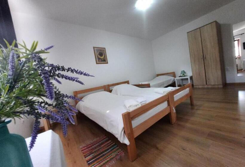 شقة غرفة واحدة, Apartmani Sunflower