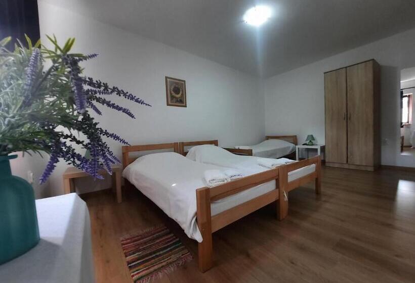 اتاق استاندارد, Apartmani Sunflower