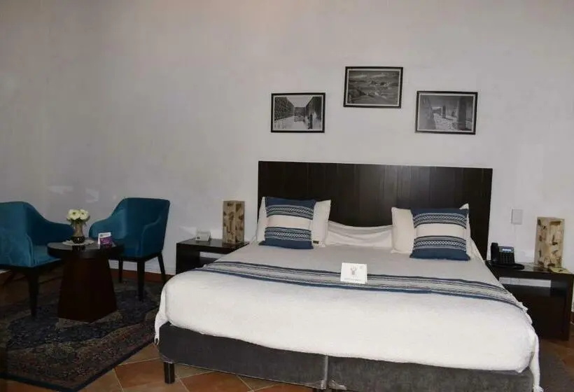 キングサイズベッドのスタンダードルーム, Quinta Alhóndiga Galindo Hotel Boutique