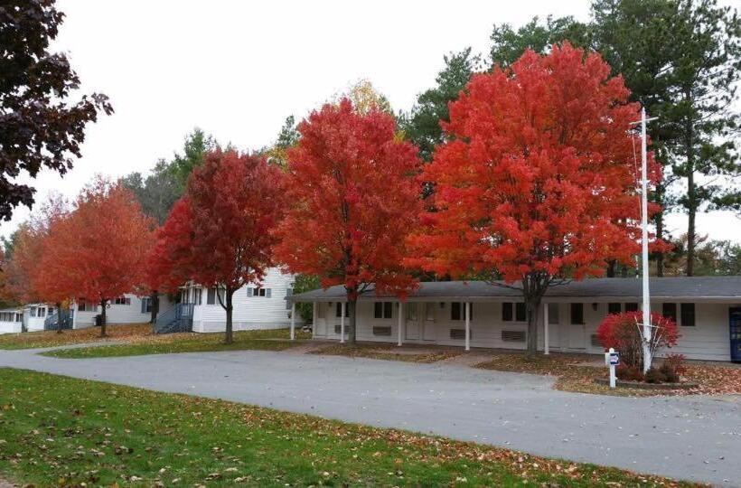 Номер Superior, West Winds Motel & Cottages