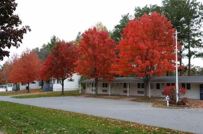 スーペリアールーム, West Winds Motel & Cottages