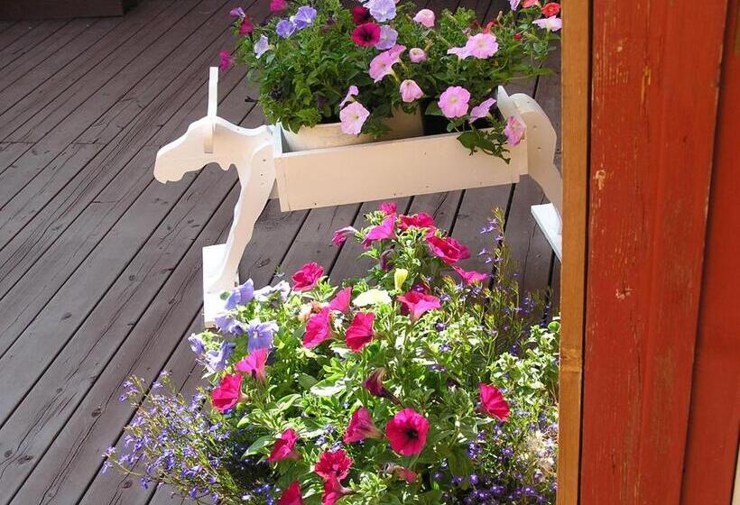 غرفة قياسية رباعية, White Moose Lodge