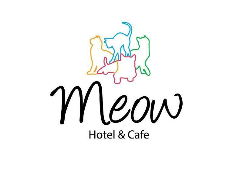 اتاق استاندارد, Meow Hotel & Cafe