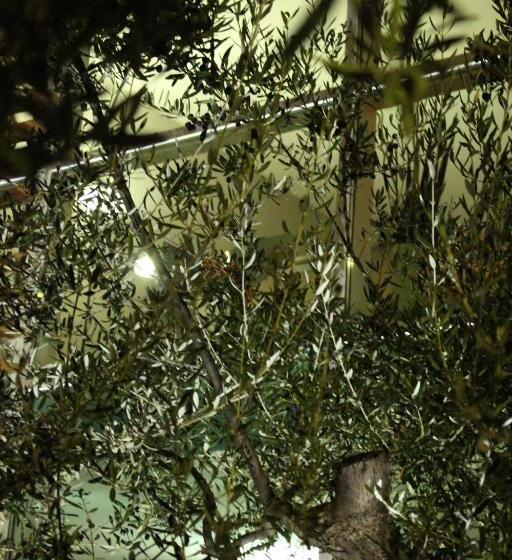 带1个卧室的带阳台的公寓, Otium Casa Vacanze Servizio Spiaggia Incluso A 200 Mt