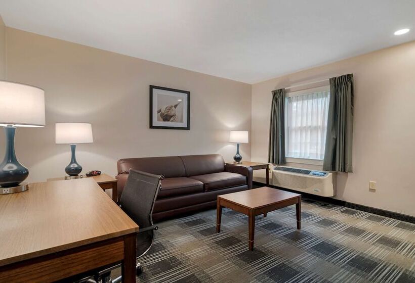 جناح, Best Western Plus Cold Spring