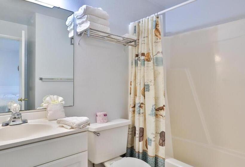 جناح جونيور مطلّ علي البحر, Coastal Waters