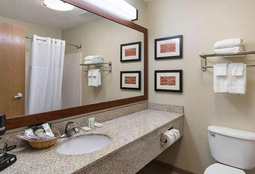 スタンダードルーム, Comfort Inn Barboursville Near Huntington Mall Area