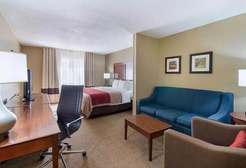 キングサイズベッドのスイートルーム, Comfort Inn Barboursville Near Huntington Mall Area