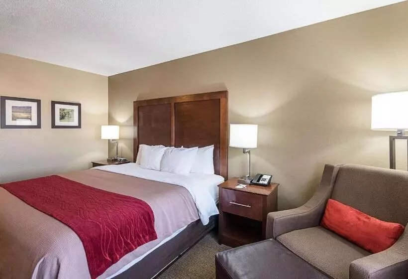 キングサイズベッドのスタンダードルーム, Comfort Inn Barboursville Near Huntington Mall Area