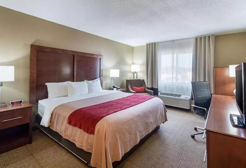 身障者適用キングサイズベッドルーム, Comfort Inn Barboursville Near Huntington Mall Area