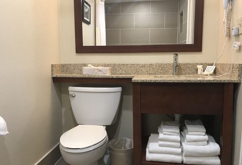 جناح مزوَّد بشرفة, Comfort Inn Edgewater On Hudson River