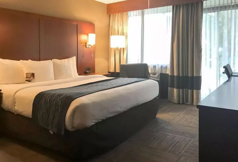 Sviitti Parveke, Comfort Inn Edgewater On Hudson River