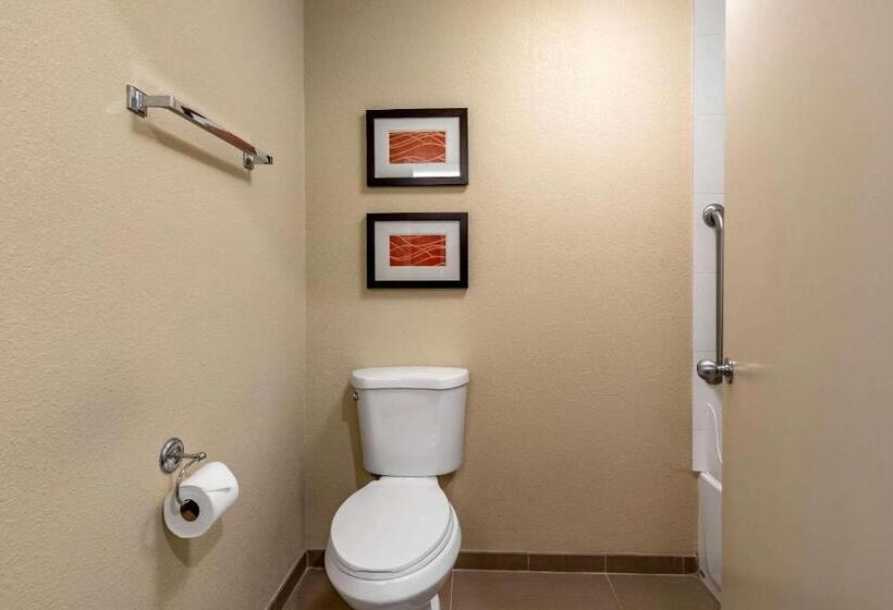 غرفة قياسية سرير كينج, Comfort Inn Roseburg