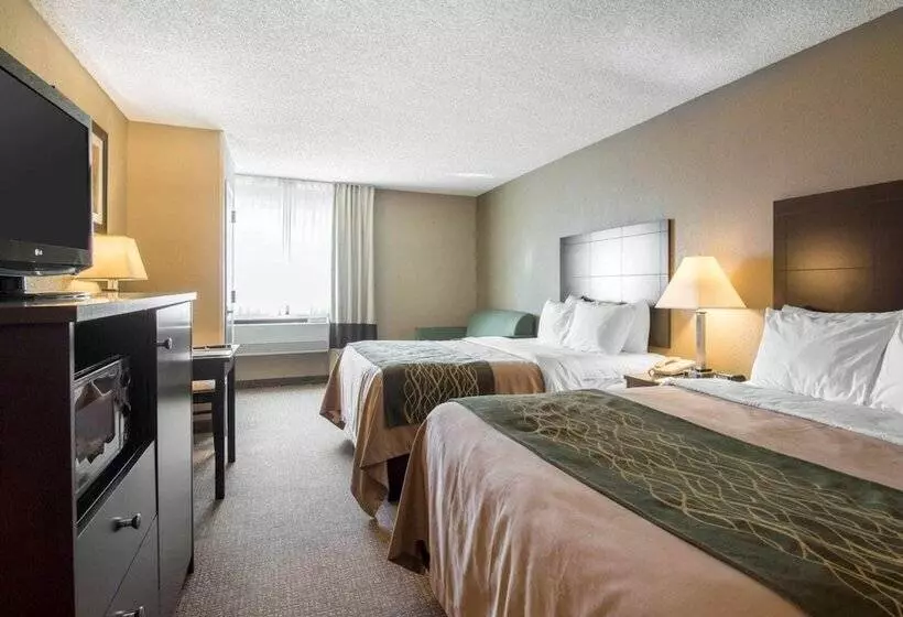 スタンダードルーム, Comfort Inn