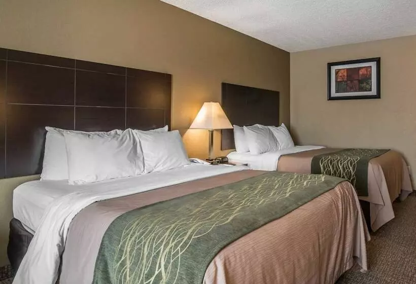 スタンダードルーム, Comfort Inn