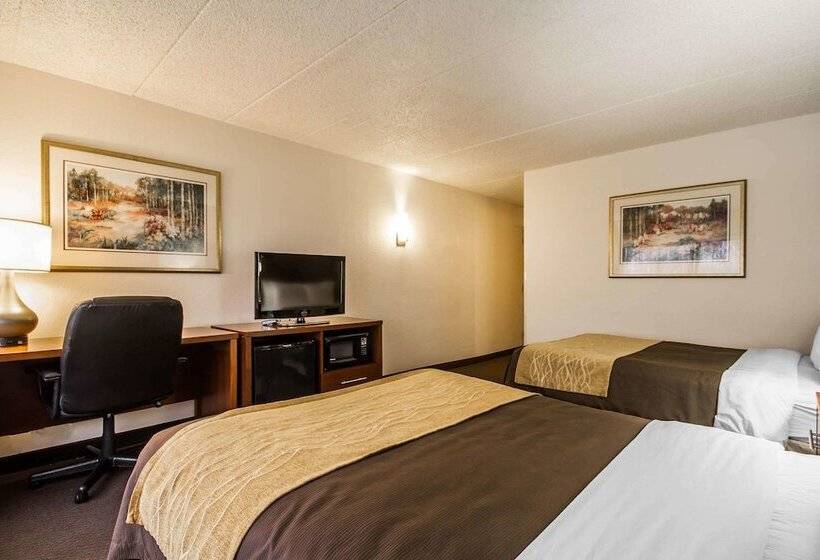 غرفه قياسيه سريرين مزدوجين, Comfort Inn & Suites Madison  Airport