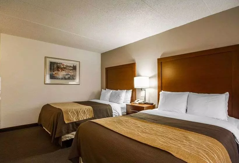 اتاق استاندارد با 2 تخت دوبل, Comfort Inn & Suites Madison  Airport