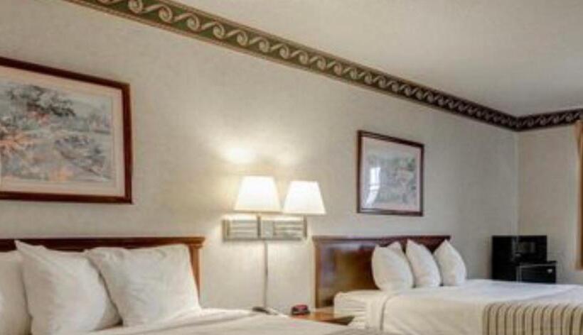 标准间, Econo Lodge Inn & Suites