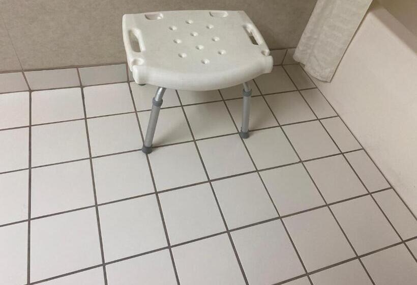 Номер Стандарт Адаптированный для Инвалидов, Econo Lodge Inn & Suites