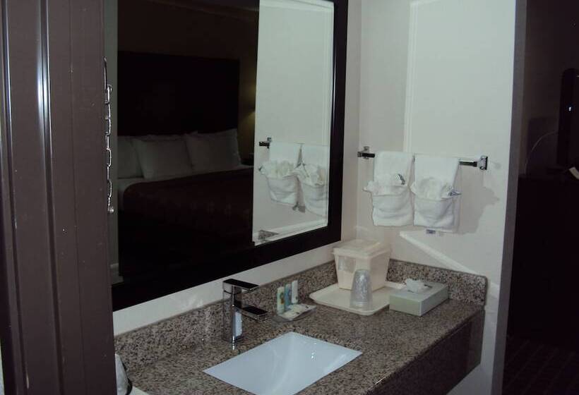 غرفه قياسيه سريرين مزدوجين, Quality Inn Carbondale University Area