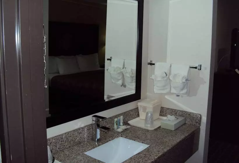 ２ダブルベッドのスタンダードルーム, Quality Inn Carbondale University Area