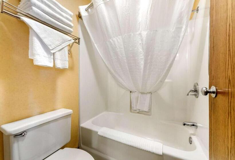 带大床的标准间, Quality Inn I25