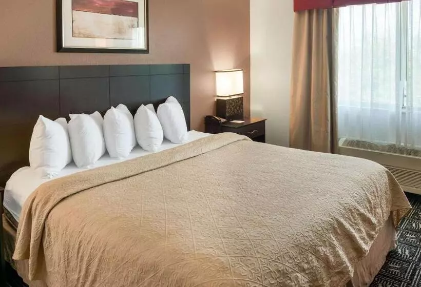 キングサイズベッドのスタンダードルーム, Quality Inn & Suites