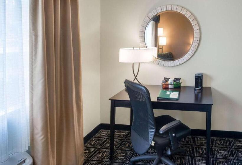 キングサイズベッドのスタンダードルーム, Quality Inn & Suites