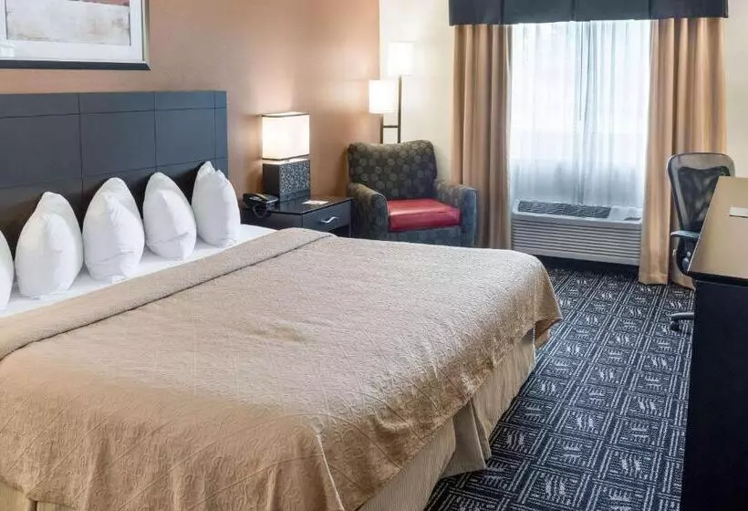 キングサイズベッドのスタンダードルーム, Quality Inn & Suites