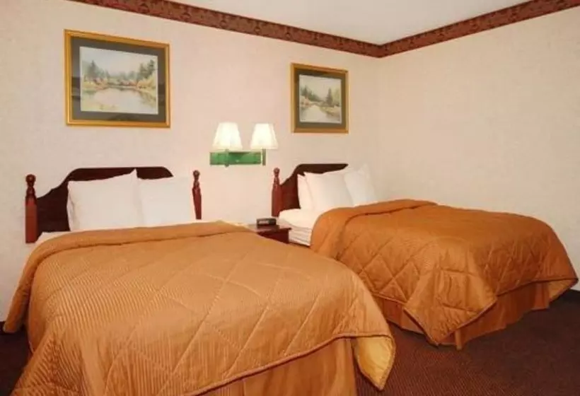 ２ダブルベッドのスタンダードルーム, Quality Inn & Suites Tarboro  Kingsboro