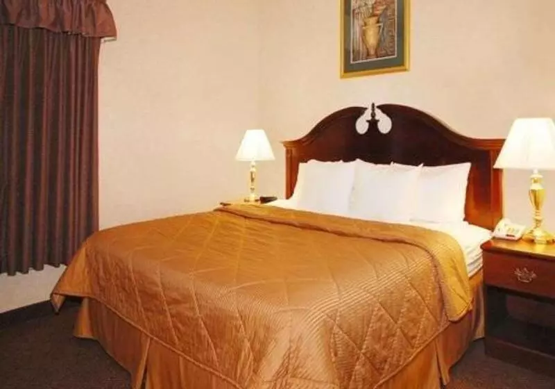 キングサイズベッドのスタンダードルーム, Quality Inn & Suites Tarboro  Kingsboro