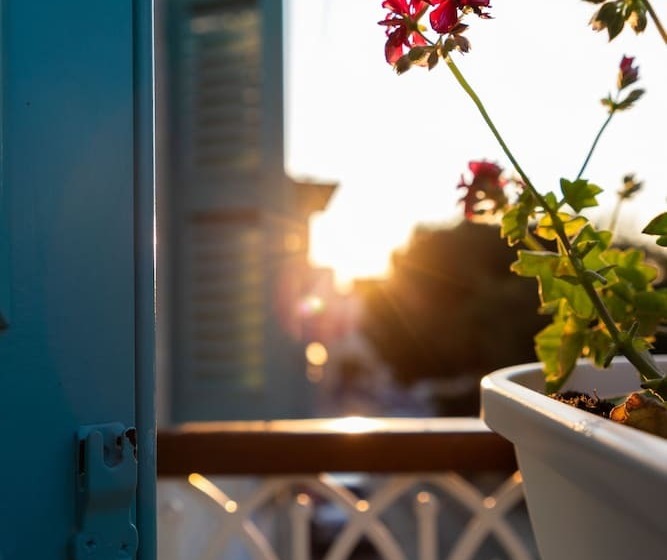 اتاق سوپریور, Myn In Rabat